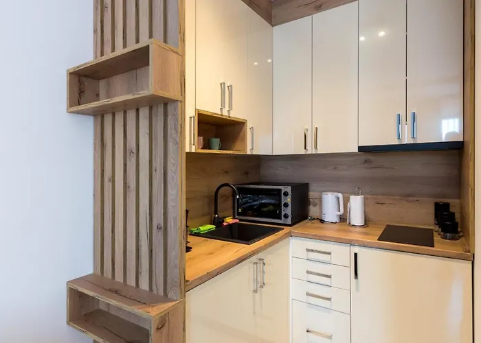 Crystal Luxury 아파트 브르드니크